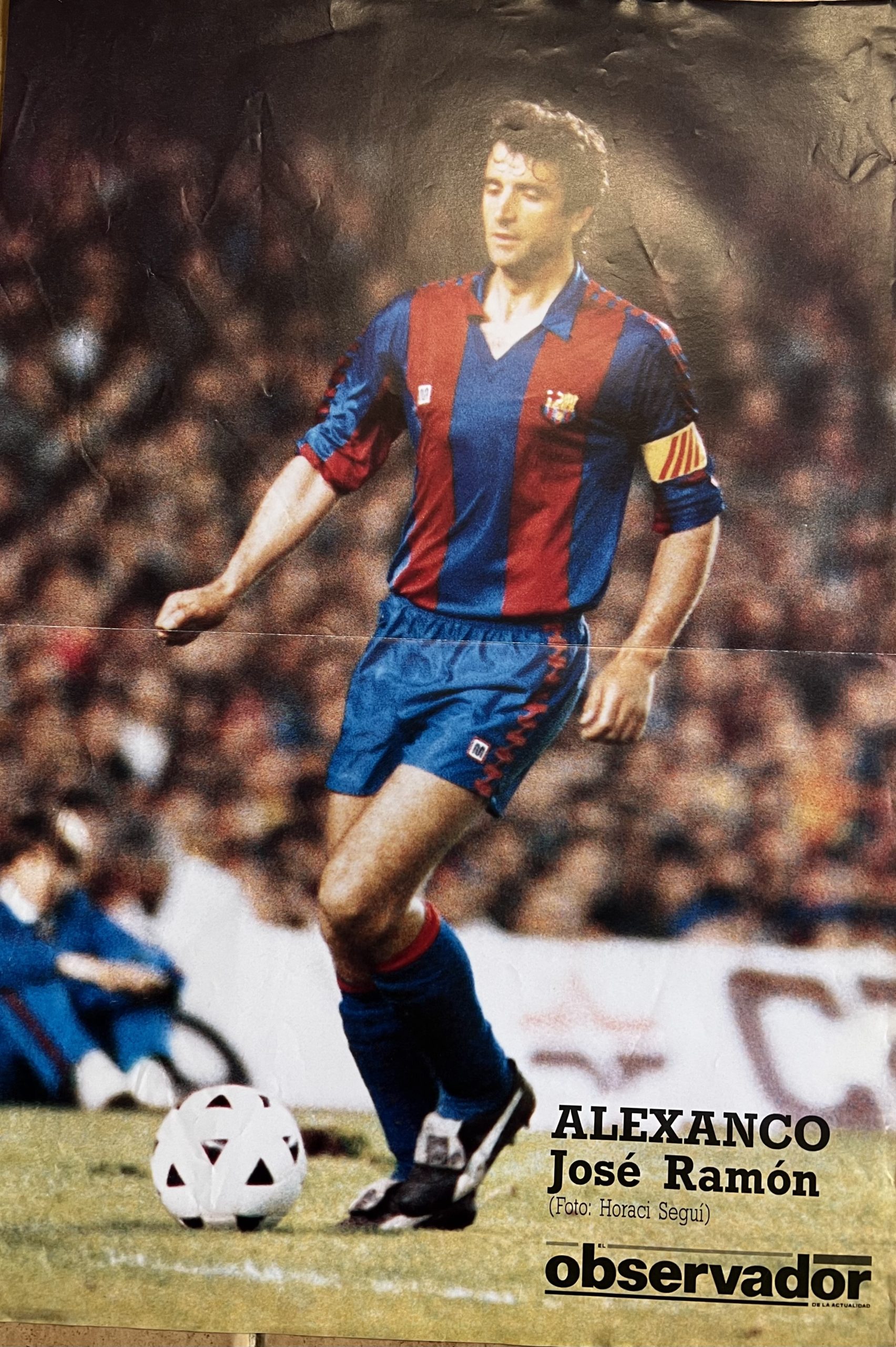 Alexanco pòster diari observador 1992